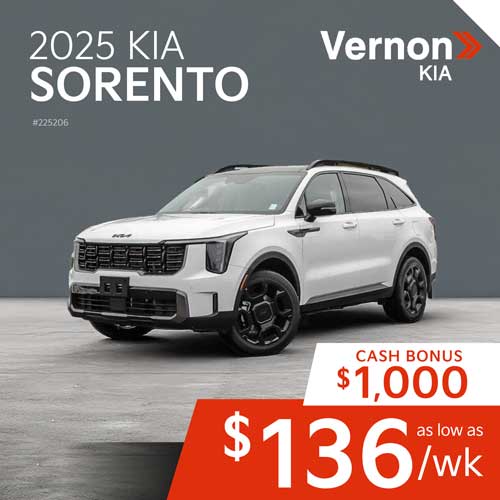 Dealer campaign creative sample